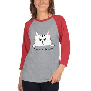 Rude Kitty Raglan Shirt